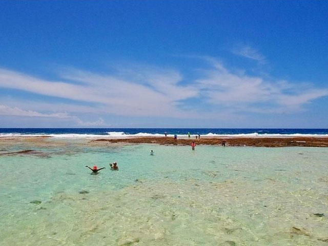 Otepipi île aux Récifs