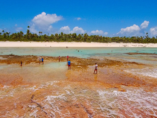 Otepipi + île aux récifs